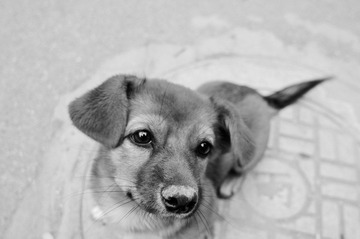 _DSC0882.jpg