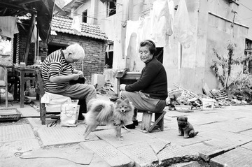 _DSC0893.jpg