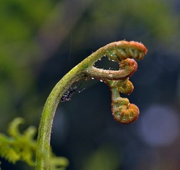 毛毛雨之二
