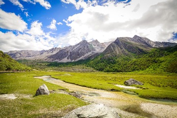 _DSC0121