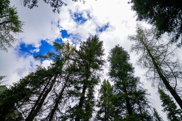 _DSC0376