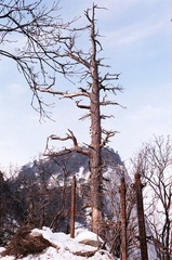 40720026.JPG