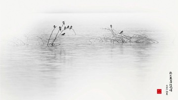 5-晚晴