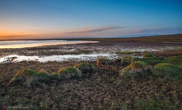 _DSC4183