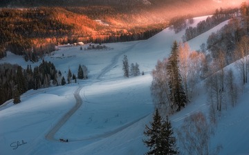 雪村禾木