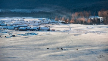 雪村喀纳斯