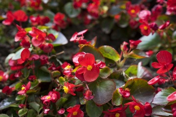 _DSC5490