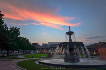 DSC_7910-1