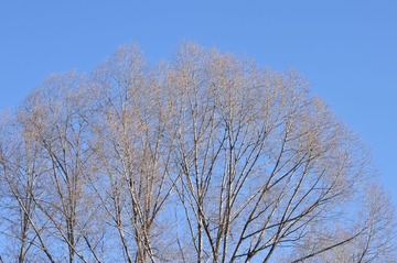 MAJ_0497