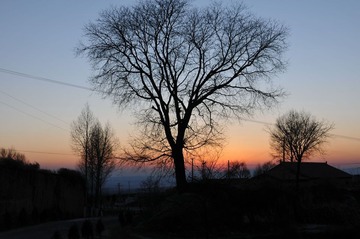 MAJ_0556