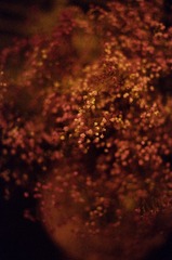 4B0969EF-D90D-4F62-AC9F-9BCE0725BFD3/L0/001