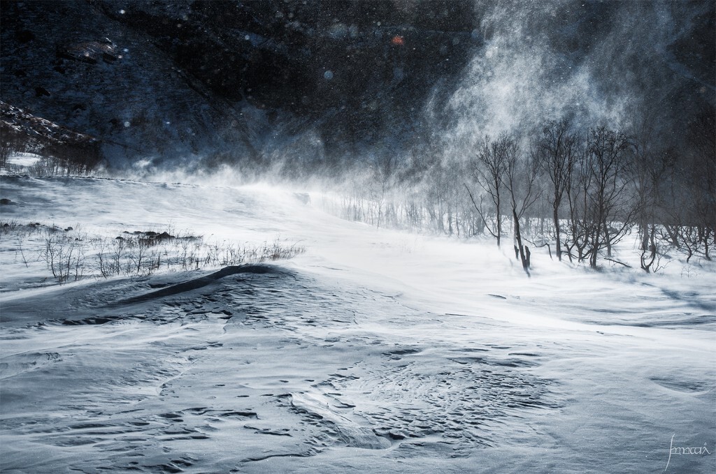 长白山皑皑的雪原，随风的雪粒将脸打的生疼