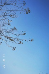 DF7B8E50-E56F-4458-9DF6-04AC8F2FD48F/L0/001