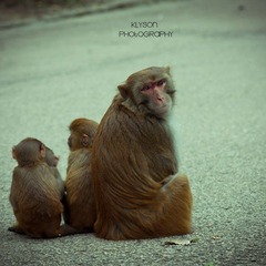 105初 2010_12_19-033-111