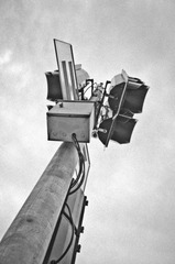 _A010725