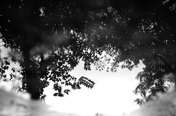 20130825-_A010573