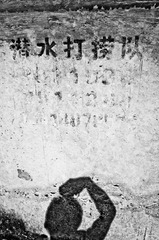 A1014699
