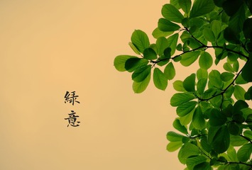 春意盎然 (15)