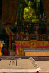 _DSC0221