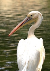 3654450
