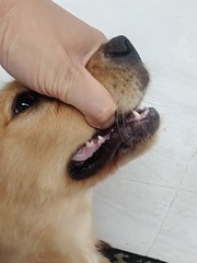 1000024510