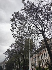 1000026282