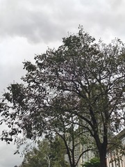 1000026283