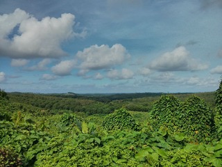 IMG_20130730_163705