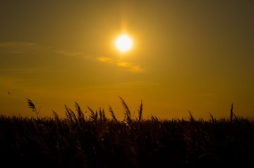_DSC2389