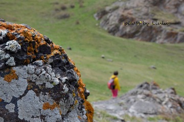 _DSC3450