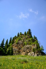 _DSC8912