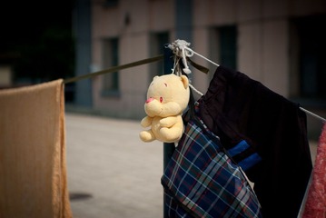 晾衣杆上得小熊