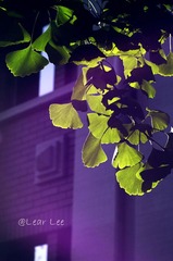 IMGP5413-22