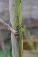 随拍
