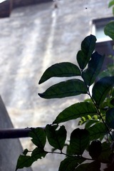 屋檐之外