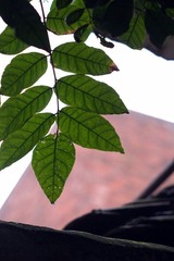 屋檐之外4