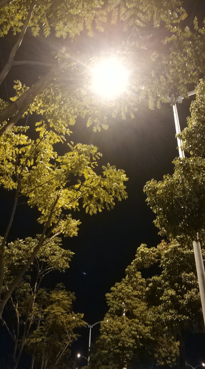 路过看起来蛮好看的