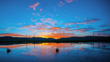_DSC86751