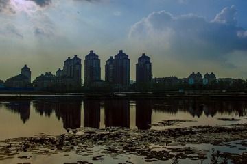 L9790195-1