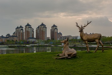 L9790231-1