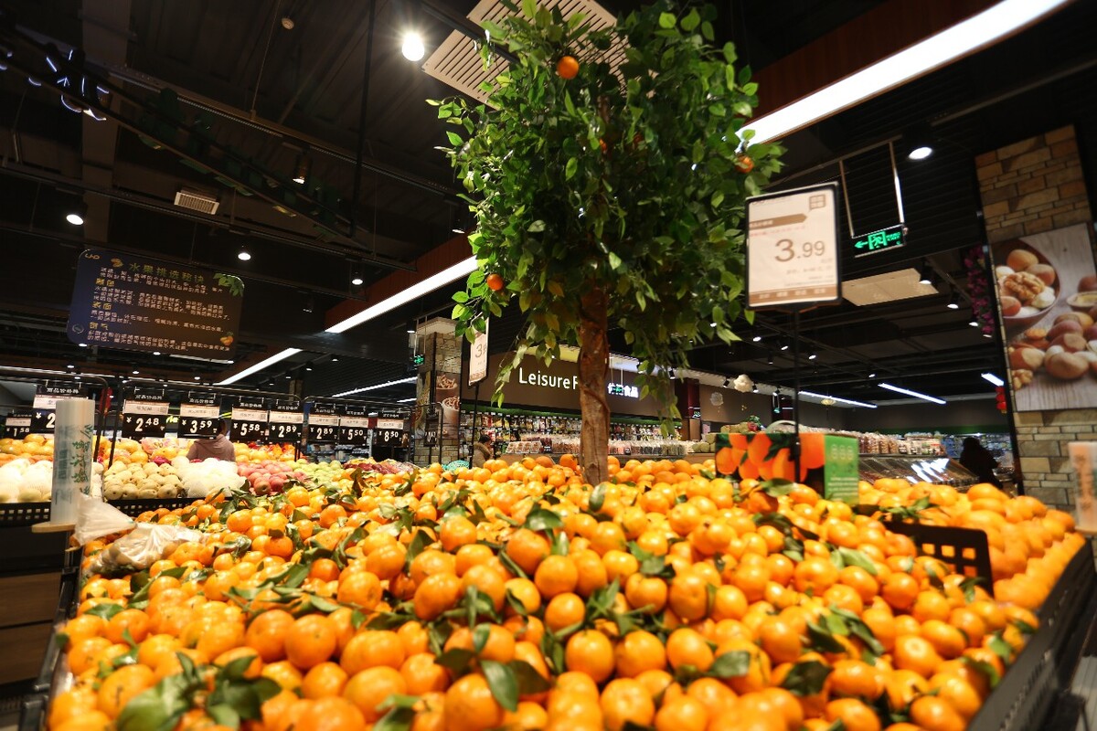 脐橙市场,广西脐橙成为市场主角橙脐橙采摘时间11月