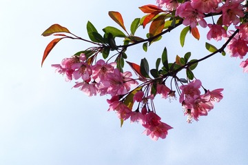 25274817-95E9-4FFC-9263-F0EA21D3EEFB/L0/001