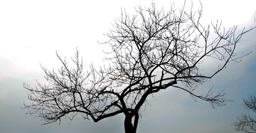 DSC_8055 - 