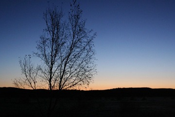 IMG_4588.JPG