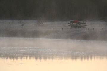 IMG_4631.JPG
