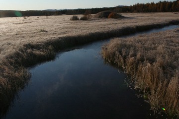 IMG_4677.JPG