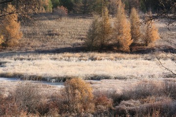 IMG_5243.JPG