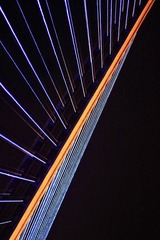 IMG_37041.JPG
