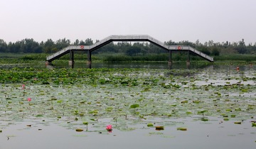 宫