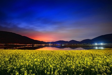 花湖